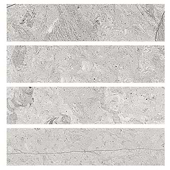 BA1038 sample
