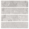 BA1038 sample
