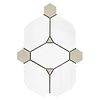 BA6310 sample 1
