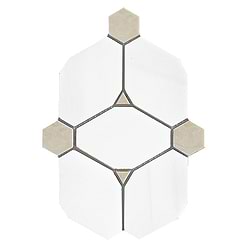 BA6310 sample 1