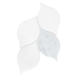BA6316 sample