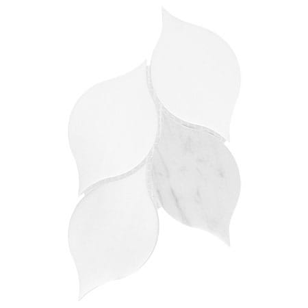BA6316 sample