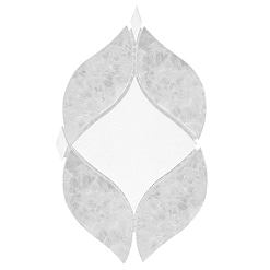 BA6317 sample