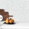 White Shell and Crackle Glass Mosaic Backsplash Tile BA6705