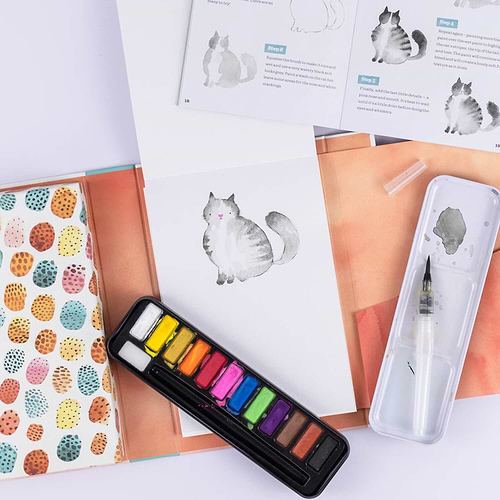 ערכה איך לצייר חיות בצבעי מים  HOW TO PAINT WATERCOLOUR ANIMALS