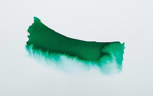 דיו לציור HERBINÉ ÉCLATS FINE ART INK-PINE GREEN 250ML