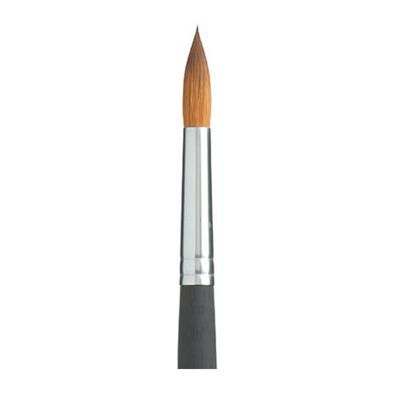 מכחולי AQUA ELITE PRINCETON 4850