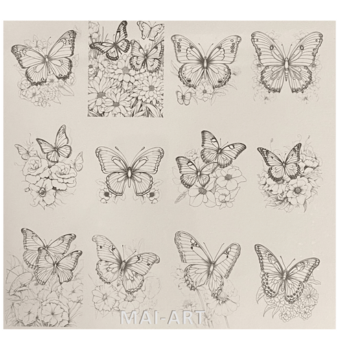 חוברת צביעה - פרפרים - BUTTERFLY