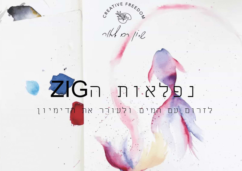 ערכת הדרכה של שרון רם לאור