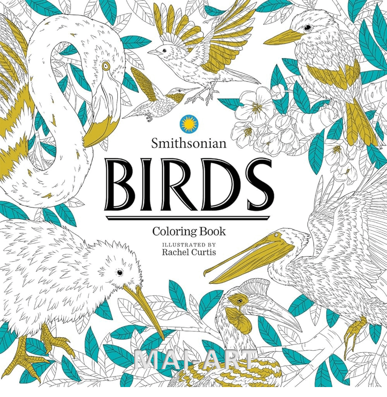 ספר צביעה BIRDS- Rachel curtis