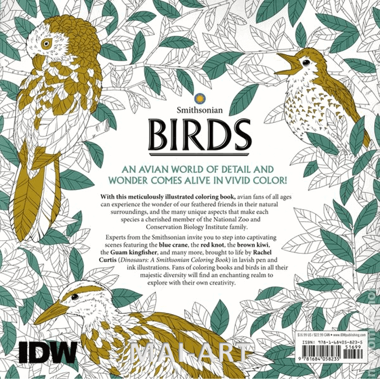ספר צביעה BIRDS- Rachel curtis