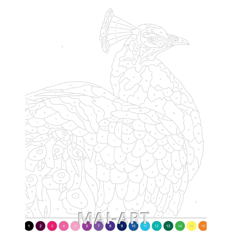 חוברת צביעה THE JOY OF COLOURING BY NUMBERS