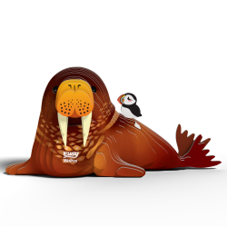 ערכת הרכבה כלב ים WALRUS 3D