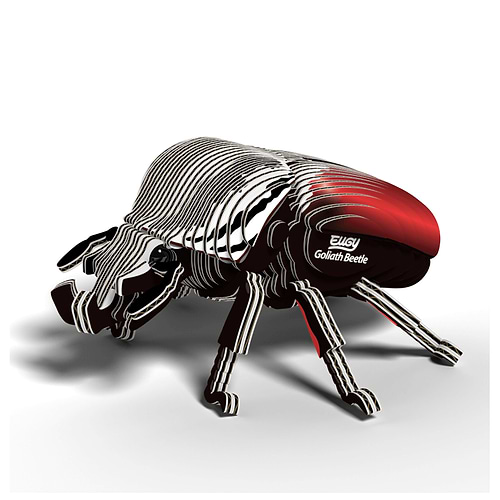 ערכת הרכבה חיפושית גוליית GOLIATH BEETLE 3D