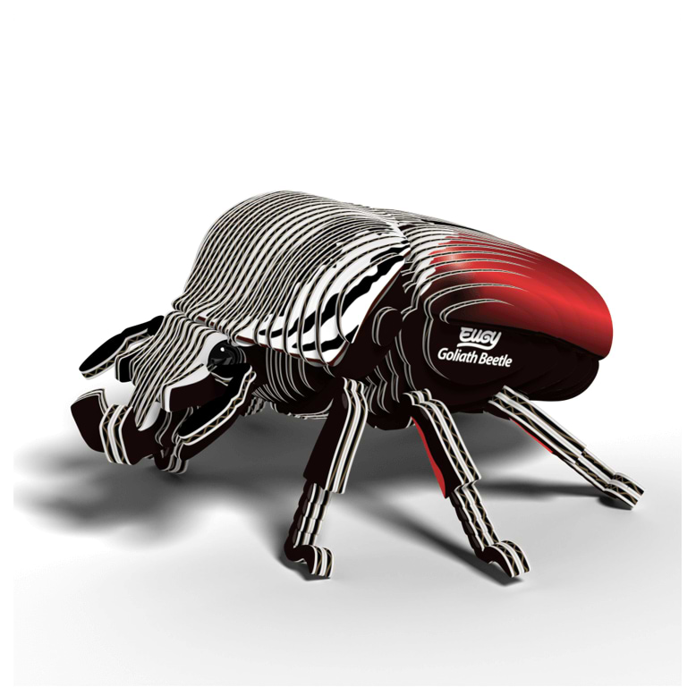 ערכת הרכבה חיפושית גוליית GOLIATH BEETLE 3D