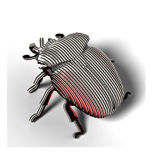 ערכת הרכבה חיפושית גוליית GOLIATH BEETLE 3D