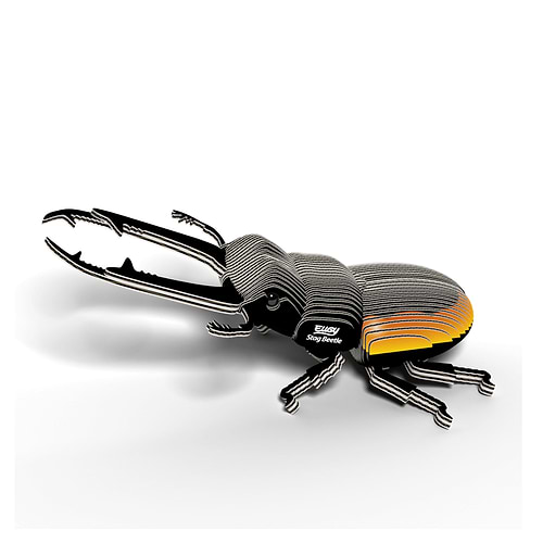 ערכת הרכבה חיפושית אייל STAG BEETLE 3D