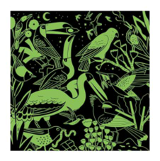 פאזל 500 חלקים- זוהר בחושך BIRDS ILLUMINATED