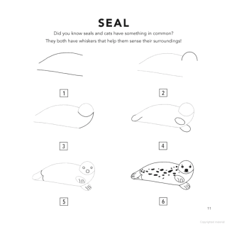 חוברת הדרכה HOW TO DRAW UNDER THE SEA