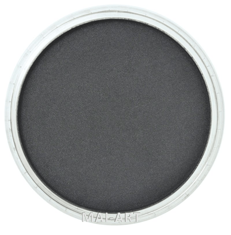 PANPASTEL MEDIUM 013 PEARL BLACK FINE