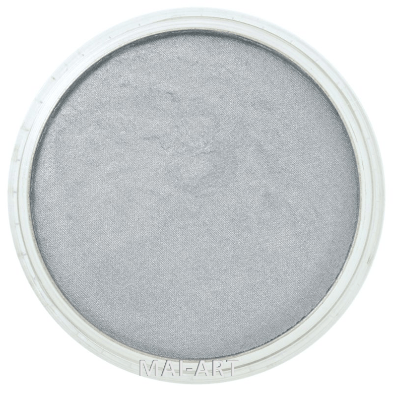 PANPASTEL PEWTER 921.5