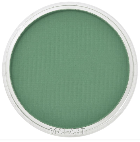 PANPASTEL PERMANENT GREEN SHADE 640.3