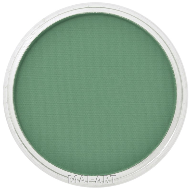 PANPASTEL PERMANENT GREEN SHADE 640.3