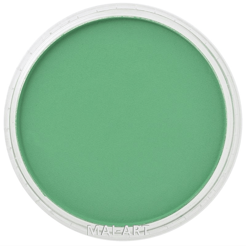PANPASTEL PERMANENT GREEN 640.5