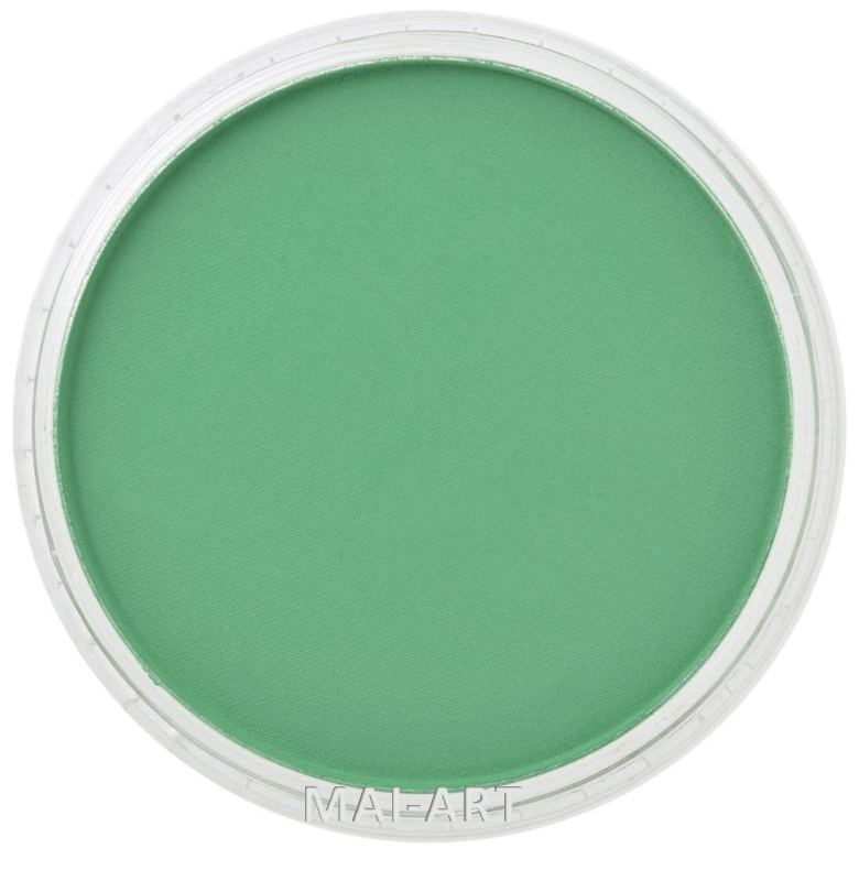 PANPASTEL PERMANENT GREEN 640.5