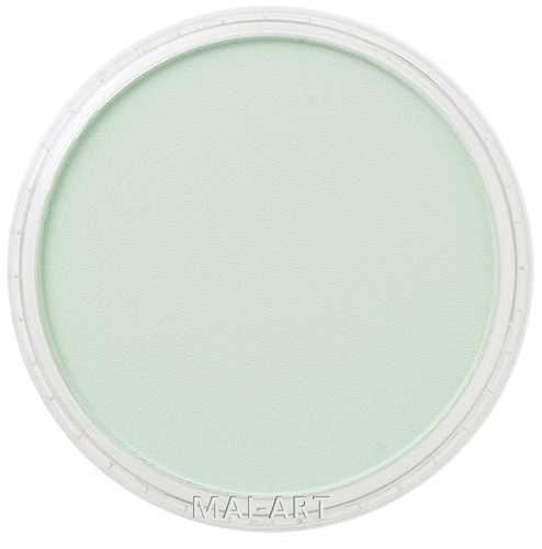 PANPASTEL PERMANENT GREEN TINT 640.8