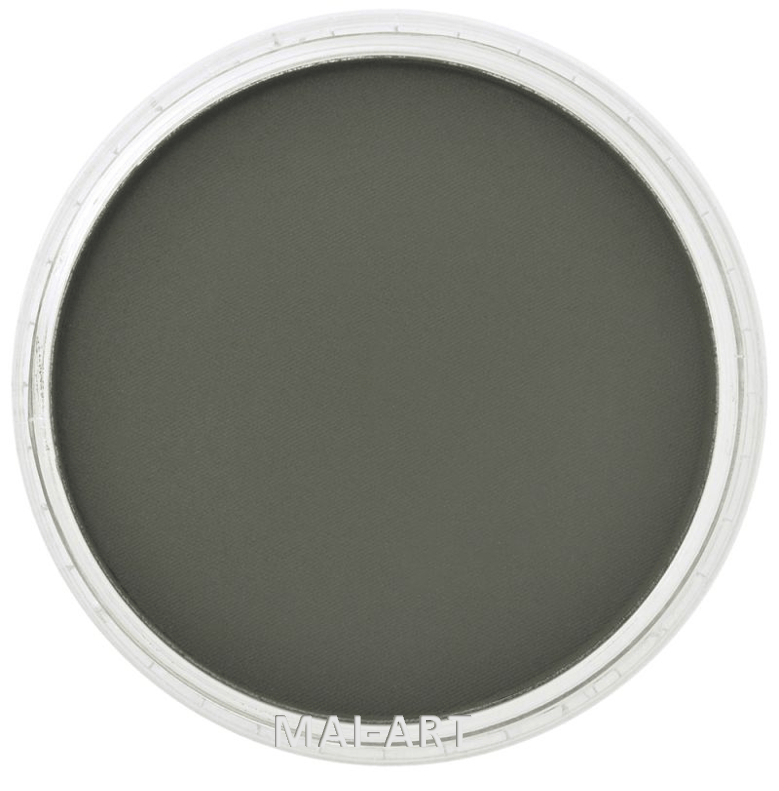 PANPASTEL CHROM OXIDE GREEN EX DARK 660.1