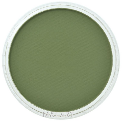 PANPASTEL CHROM OXIDE GREEN SHADE 660.3