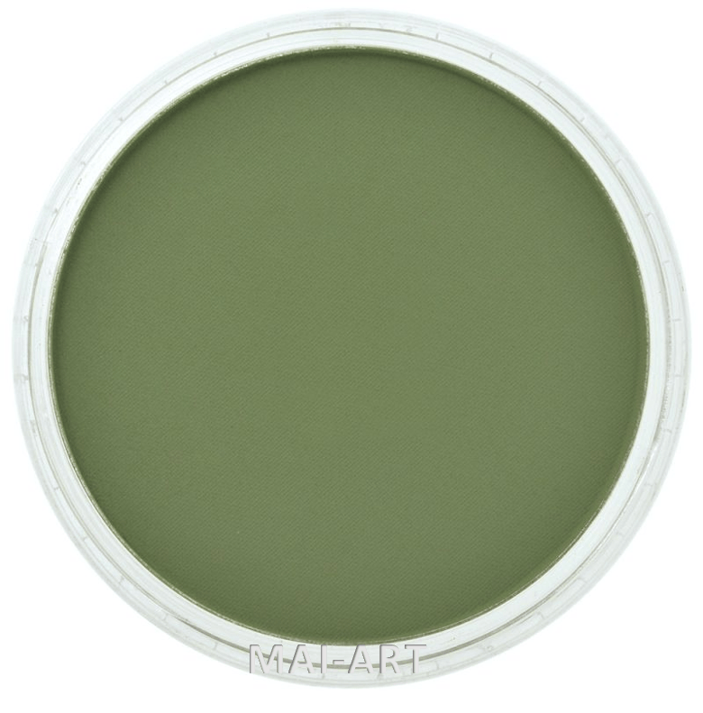 PANPASTEL CHROM OXIDE GREEN SHADE 660.3