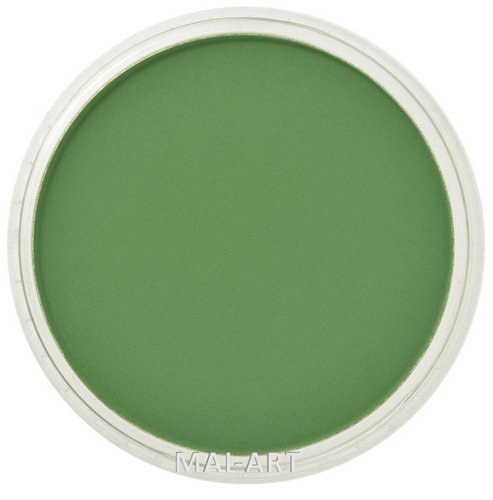PANPASTEL CHROM OXIDE GREEN 660.5