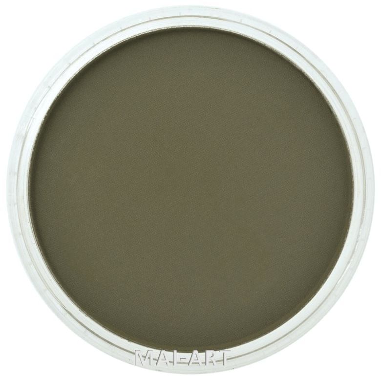 PANPASTEL BT YELLOW GREEN EX DARK 680.1