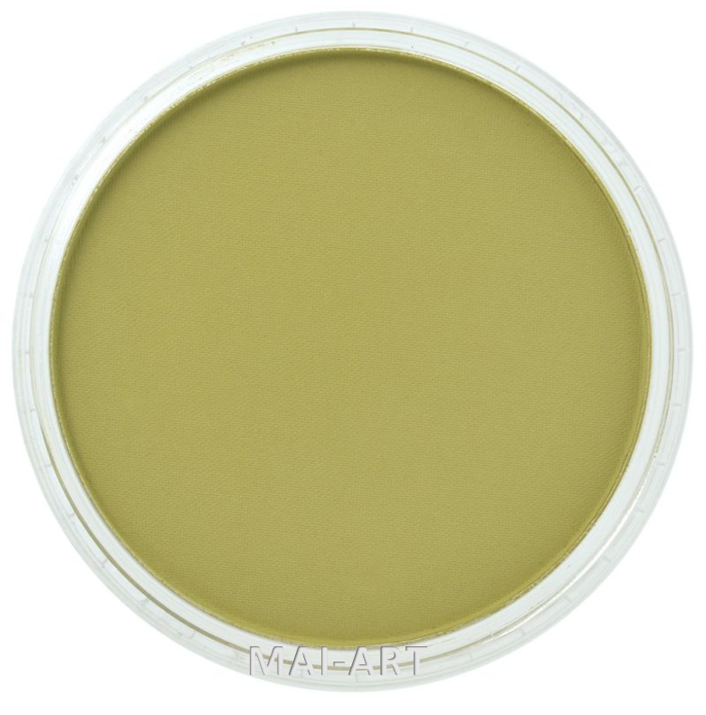 PANPASTEL BT YELLOW GREEN SHADE 680.3