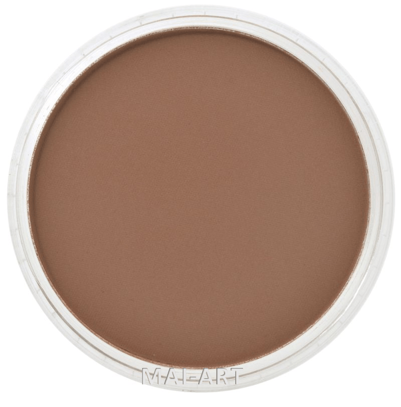 PANPASTEL BURNT SIENNA SHADE 740.3