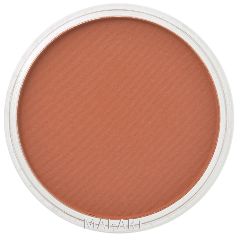 PANPASTEL BURNT SIENNA 740.5