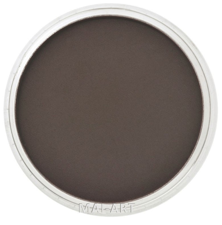 PANPASTEL RAW UMBER EXTRA DARK 780.1