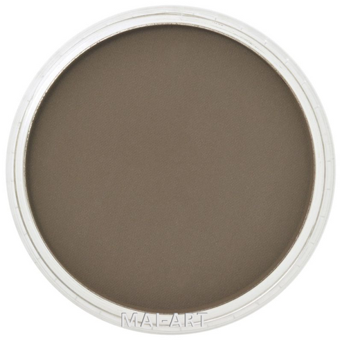 PANPASTEL RAW UMBER SHADE 780.3