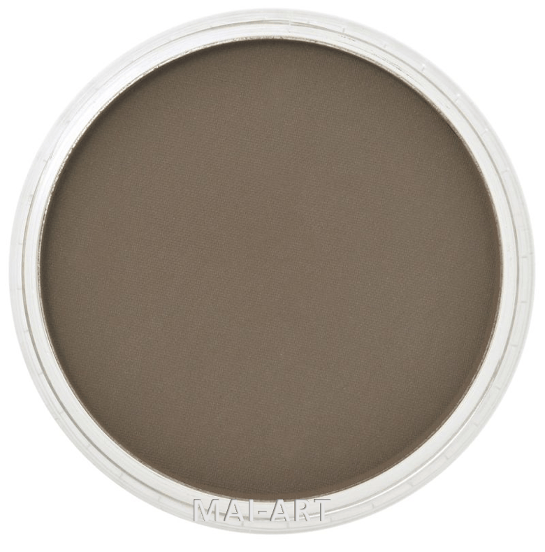 PANPASTEL RAW UMBER SHADE 780.3