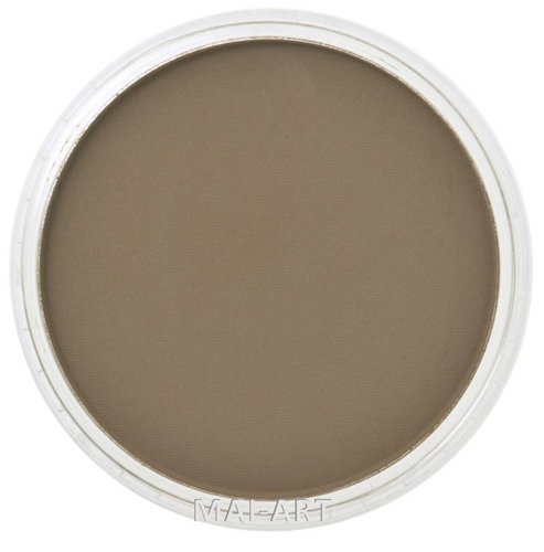 PANPASTEL RAW UMBER 780.5