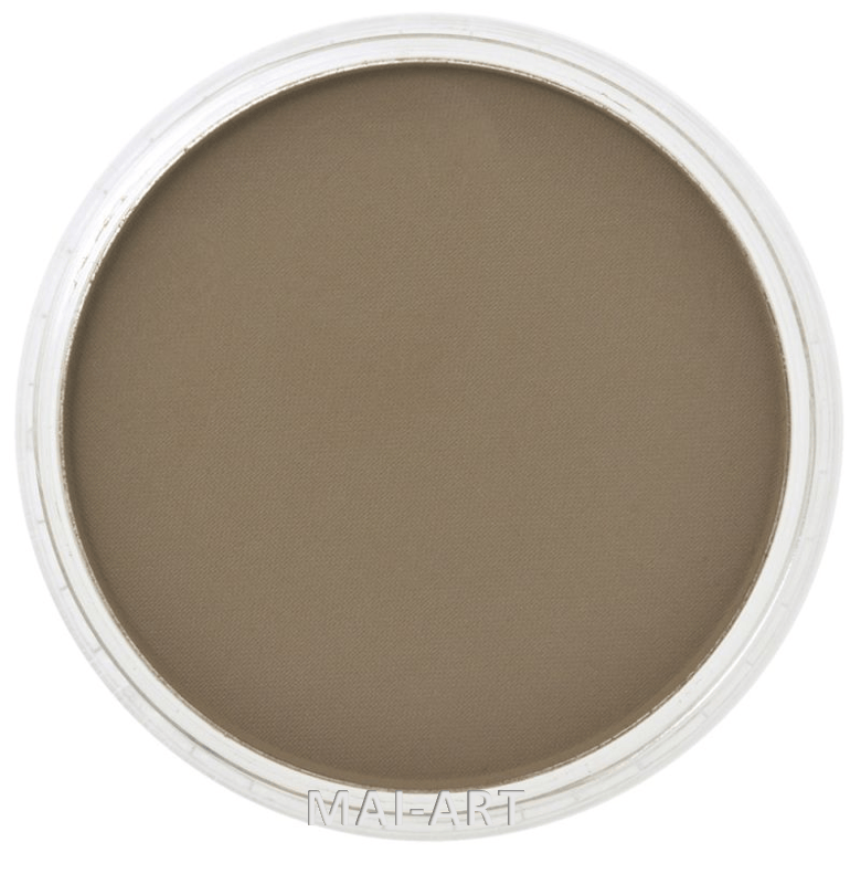 PANPASTEL RAW UMBER 780.5