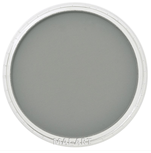 PANPASTEL NEUTRAL GREY SHADE 820.3