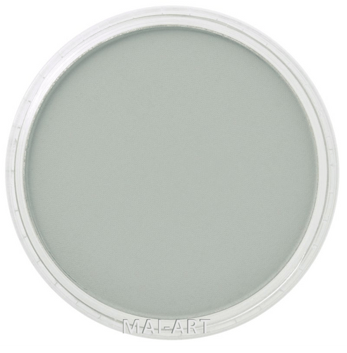 PANPASTEL NEUTRAL GREY 820.5
