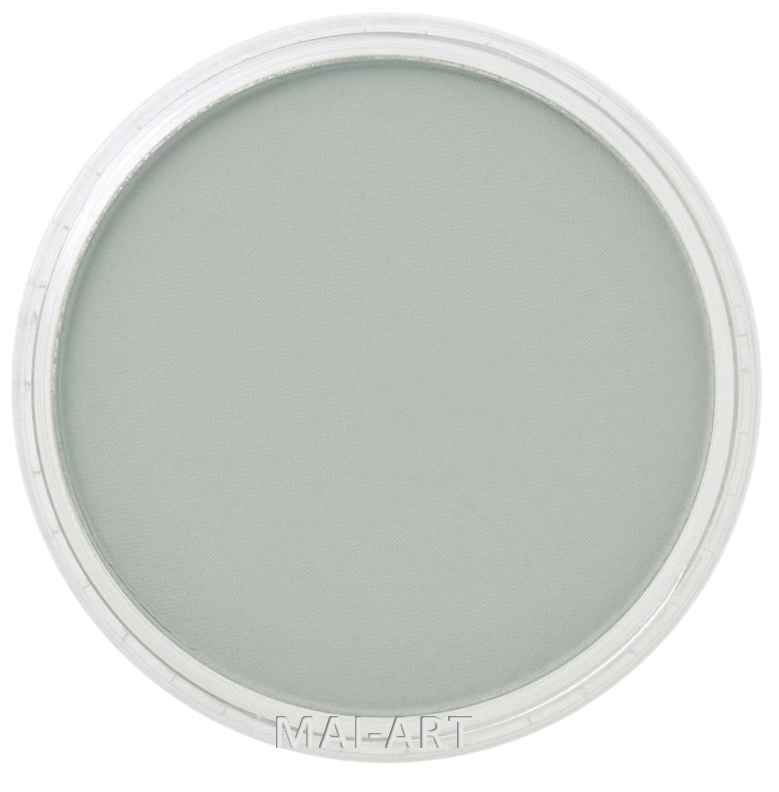 PANPASTEL NEUTRAL GREY 820.5