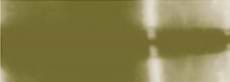צבע בד גאוונה ירוק זית dark olive