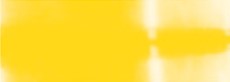 צבע בד גאוונה צהוב yellow sunflower