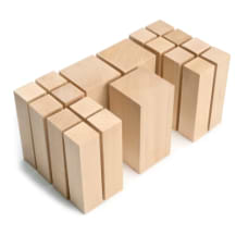 מארז 19 עצים לגילוף BASSWOOD