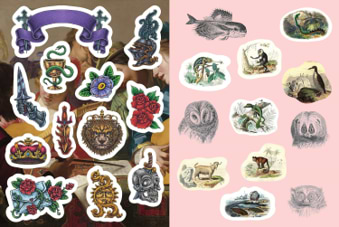 חוברת צביעה ODDITIES &CURIOSITIES stiker,color&activity book
